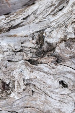 Eski doğal ahşap eski püskü arka plan kapatın. Antika arka plan. Bali. Desen.