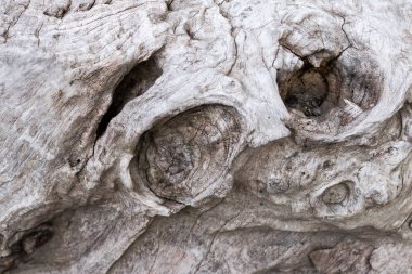 Eski doğal ahşap eski püskü arka plan kapatın. Antika arka plan. Bali. Desen.