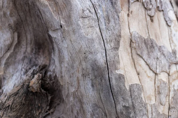 Εσωτερικη παλιό φυσικό ξύλινο shabby φόντο. Αντίκες φόντο. Μπαλί. Μοτίβο. — Φωτογραφία Αρχείου