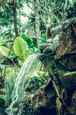 Tropikal bahçe şelale üzerinde egzotik ada Bali, Endonezya.