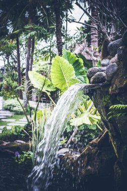 Tropikal bahçe şelale üzerinde egzotik ada Bali, Endonezya.