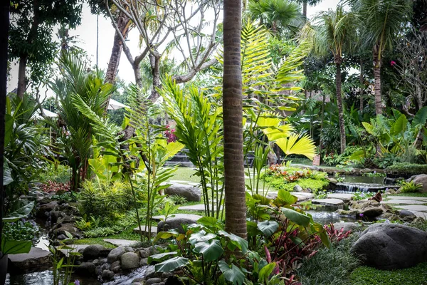 Yemyeşil tropikal Bahçe çeşitli renkli çiçekler ve bitkiler ile. Bali Adası, Endonezya.