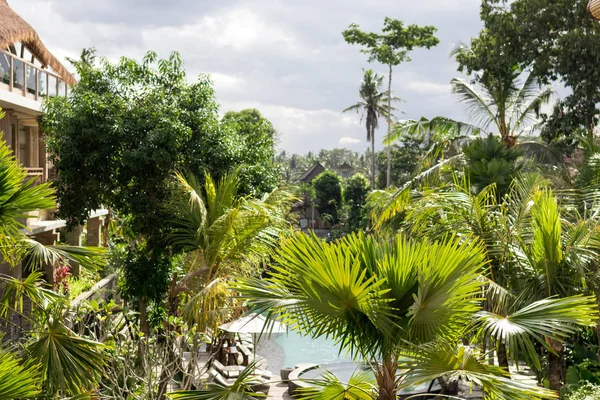 Yemyeşil tropikal Bahçe çeşitli renkli çiçekler ve bitkiler ile. Bali Adası, Endonezya.