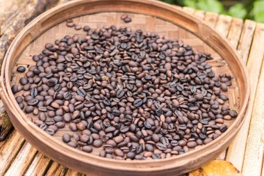 Organik arabica kahve çekirdekleri kavrulmuş. Tropikal egzotik Bali Adası, Endonezya. Otantik bali kahve kahve çiftlikte. Ahşap arka plan üzerinde kahve.