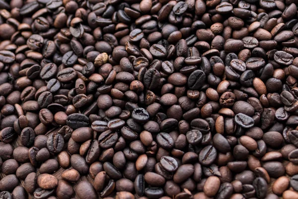 Granos de café arábica orgánicos asados. Isla tropical exótica de Bali, Indonesia. Café bali auténtico en una plantación de café . —  Fotos de Stock