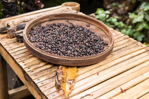 Organik arabica kahve çekirdekleri kavrulmuş. Tropikal egzotik Bali Adası, Endonezya. Otantik bali kahve kahve çiftlikte. Ahşap arka plan üzerinde kahve.