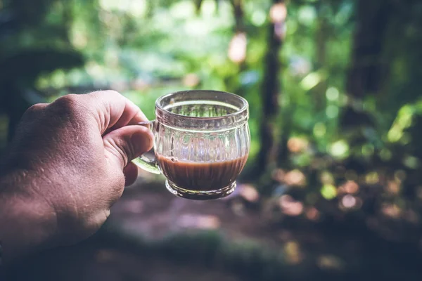 남자에서 커피 한잔 커피 트리 태양 조명 흐리게 농장에 손을. 열 대 발리 섬, 인도네시아입니다. 본격적인 발리 커피. — 스톡 사진