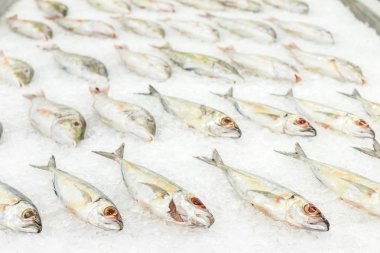 Yüksek açı ham taze balık ürpertici yatak soğuk buz deniz ürünleri Pazar Bali Adası, Endonezya.