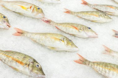 Yüksek açı ham taze balık ürpertici yatak soğuk buz deniz ürünleri Pazar Bali Adası, Endonezya.