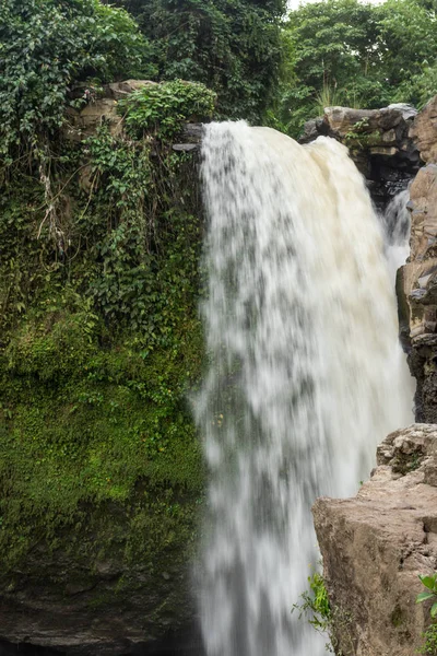 滝の深い熱帯雨インドネシア熱帯のバリ島ウブドの森。熱帯のエキゾチックなシーン. — ストック写真
