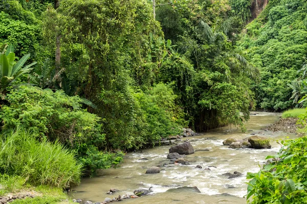 美丽的热带河流，在印度尼西亚巴厘岛的热带雨林丛林. — 图库照片