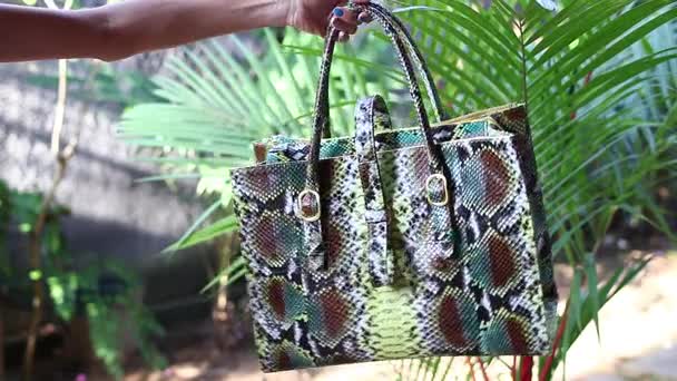 Mode Luxus Schlangenhaut Python Handtasche in Bewegung auf einem tropischen Garten Hintergrund. bali-Insel. — Stockvideo