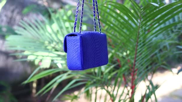 Μόδα πολυτελές python τσάντα δέρματος φιδιού σε κίνηση σε ένα τροπικό κήπο φόντο. Νησί του Μπαλί. Μικρή μπλε τσάντα. — Αρχείο Βίντεο