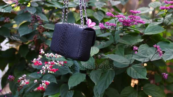 Mode Luxus Schlangenhaut Python Handtasche in Bewegung auf einem tropischen Garten Hintergrund. bali Island. kleine schwarze Tasche. — Stockvideo
