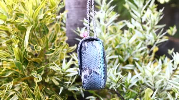 Mode Luxus Schlangenhaut Python Handtasche in Bewegung auf einem tropischen Garten Hintergrund. bali-Insel. — Stockvideo