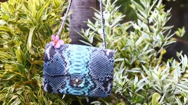 时尚奢华蛇皮 python 手袋在热带花园背景上的议案。巴厘岛. — 图库视频影像