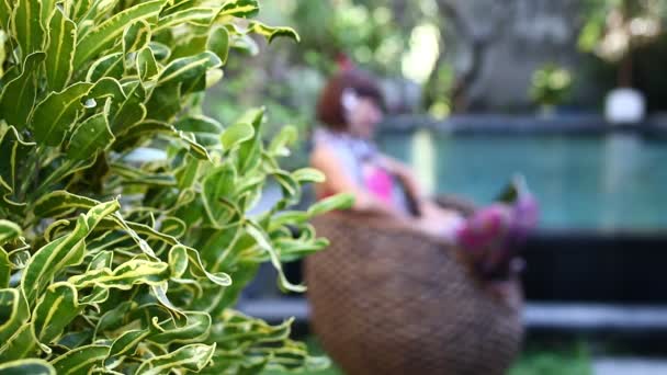 Femme travaillant sur son ordinateur portable assis dans le fauteuil au bord de la piscine, Bali île . — Video