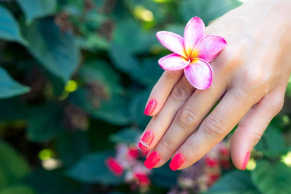 Plumeria frangipani flor na mão mulher em um belo fundo natureza — Fotografia de Stock