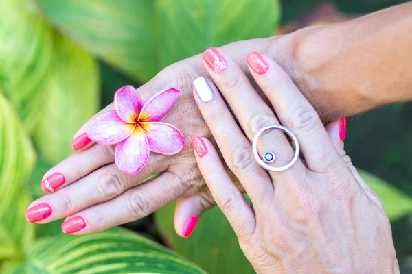 Plumeria frangipani flor na mão mulher em um belo fundo natureza — Fotografia de Stock