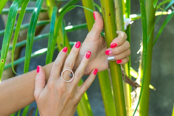 Close-up de mãos de uma jovem mulher com manicure vermelho em pregos contra o fundo tropical verde natural . — Fotografia de Stock