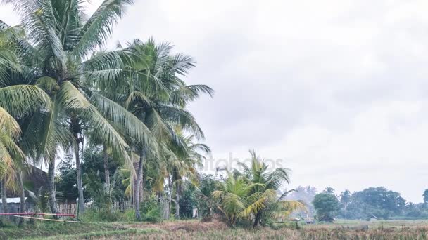 4 k časová prodleva tropické krajiny, ostrov Bali, Indonésie. — Stock video