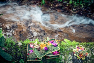 Geleneksel balinese teklifleri Bali tanrılara çiçek ve aromatik sopa ile. Bali Adası.