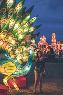 Bali, Endonezya - 8 Temmuz 2017: Bali Adası ışık Festivali. Bir Asya fener festivalinde karanlıkta parlayan kağıt heykel.