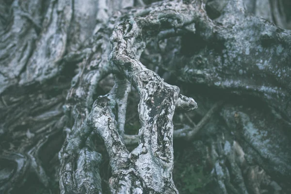 Eski doğal ahşap eski püskü arka plan kapatın. Bali Adası.