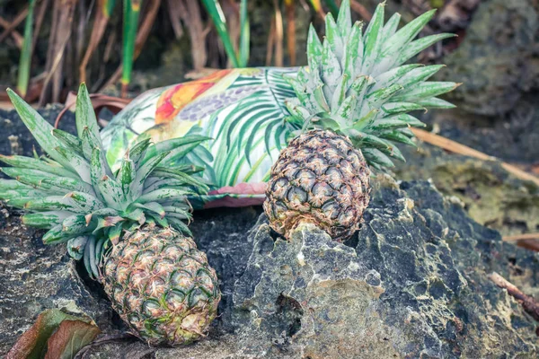 Свежие тропические экзотические фрукты ананаса на пляже. Парадизский остров Бали. Пляж . — стоковое фото
