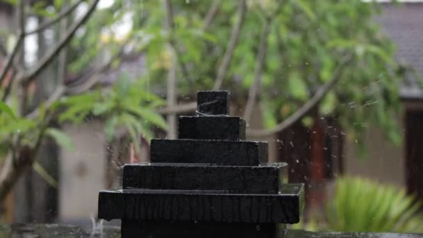 Тропічний дощ в саду на відкритому повітрі. Екзотичні зелений і сірий фон. Острів Балі, дощовий сезон. Індонезія. — стокове відео