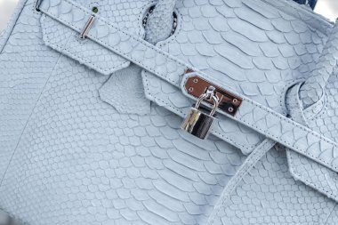 Kadın eller moda lüks yılan derisi python çanta ile. Açık havada, Bali Adası.