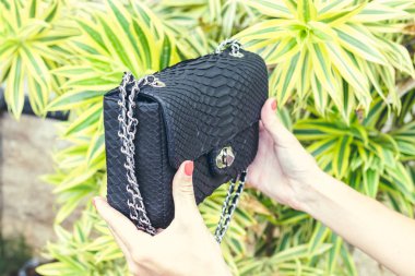Kadın eller moda lüks yılan derisi python çanta ile. Açık havada, Bali Adası.