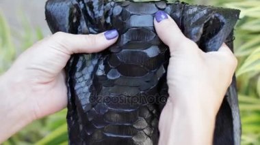 Yılan deri, egzotik deri, siyah renkli bir pitonu. Lüks python deri. Bali.