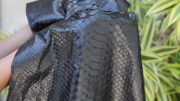 蛇皮, 异国情调的皮革, 黑色蟒蛇。奢华的蟒蛇皮。巴厘岛. — 图库视频影像