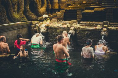 Bali, Endonezya - 5 Aralık 2017: Kutsal kaynak suyu. Tirta Empul tapınakta dua insanlar. Bali, Endonezya.