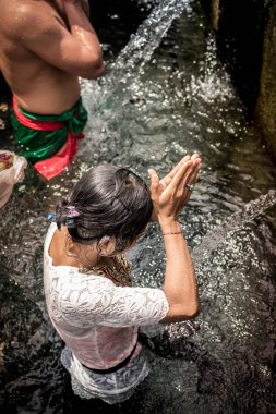 Bali, Endonezya - 5 Aralık 2017: Kutsal kaynak suyu. Tirta Empul tapınakta dua insanlar. Bali, Endonezya.