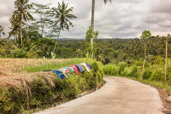 Paisaje tropical verde con cielo azul. Isla de Bali, Indonesia . — Foto de Stock