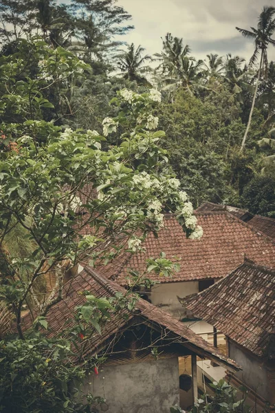 Balinesische Dächer im Regenwald in der Nähe des Vulkans Agung, Bali Island, Indonesien. — Stockfoto