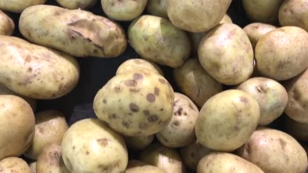 Patata orgánica de granja cruda en el mercado. Países Bajos . — Vídeo de stock