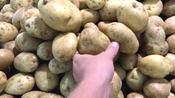 Rå gård ekologisk potatis på marknaden. I Asien. Man hand välja potatis. — Stockvideo