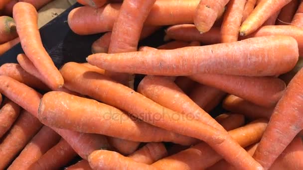 Свежие органические морковные овощи на фермерском рынке Азии . — стоковое видео