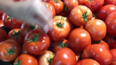 Taze organik domates Asya, Endonezya Gıda piyasada. Organik domates sebze seçme kadın.