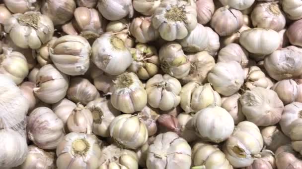 Ajo sano orgánico fresco en el mercado de alimentos. Vegetales de ajo. Primer plano imágenes 4K . — Vídeo de stock