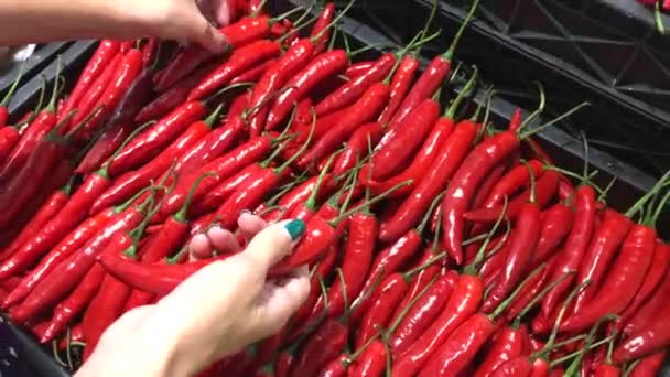 Piment biologique sain sur le marché alimentaire en Asie. Du chillie frais. Femme main en choisissant des légumes chillie bio . — Video