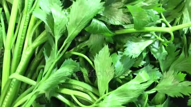 Agricoltura biologica verdure verdi al supermercato . — Video Stock