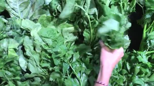 Femme à la main en choisissant des légumes verts bio au supermarché . — Video