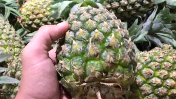 Man hand verse biologische tropische ananas selecteren in de Aziatische supermarkt. — Stockvideo