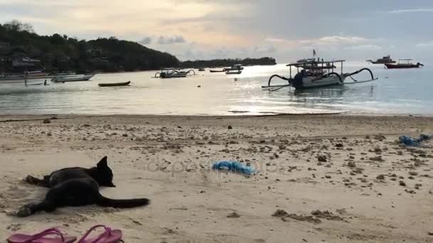 Solnedgång över ön Lembongan tropical beach, Bali, Indonesien. — Stockvideo