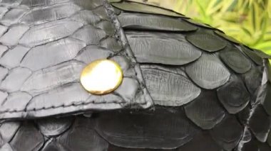 Yukarı, yılan derisi python deri doku yakın. Deri ceket.