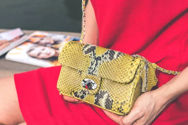 Woman hands with luxury handmade snakeskin leather handbag. Python snake fashionable handbag. Outdoors, Bali island.